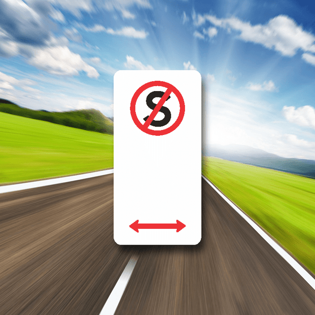 No Stopping Anytime - 225mmx450mm - SS Signs Online